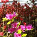 영종동주민센터 이미지