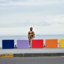 돼지랑돌이랑 이미지