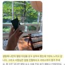 [공지] 청주향수공방 틈이 재방문이 정말많은 이유.