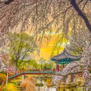 논산종합관광안내소 이미지