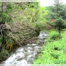 델라하우스 이미지