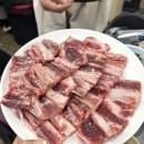반갑다돼지야
