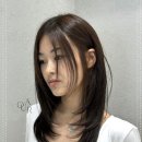 고흐헤어
