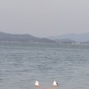 영목수산좌대 이미지