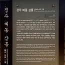 삼릉(아달라왕릉,신덕왕릉,경명왕릉), 지마왕릉, 일성왕릉, 오릉(혁거세왕릉,알영왕비릉,남해왕릉,유리...