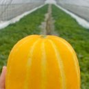 나연농장 이미지