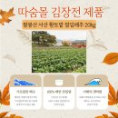 쌈지보령