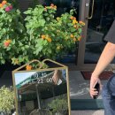 감문면짱 | [김천카페]배시네 신상카페_카페 퍼즐 후기!