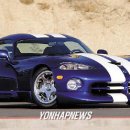 바이퍼코리아 이미지