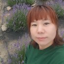 숲속청계농장 이미지