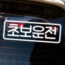 1009 이미지