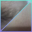 역삼-1530 이미지