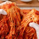 10 | 도미솔김치 10kg 후기! 홈쇼핑에서 인기 많은 이유 알아보니