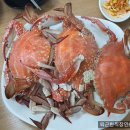 [수원수산시장] 태광물산 :: 1년 중 활 암꽃게가 가장 저렴한 시기