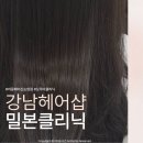 디어몽 | 신논현 | 강남헤어샵 어몽헤어 신논현점에서 밀본 헤어클리닉 받은 후기