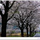 고남저수지 이미지