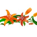 생활역학 이미지