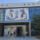 새너울중학교 도서관 | 연극 고등어 후기 (영등포문화재단, 영등포아트홀)