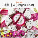 백용 | 제주 용과 4kg 실속형 백용과 먹는법 제주도 여름 과일 제주더유스