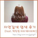 루리헤어살롱 이미지