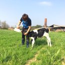 큰대광목장 이미지