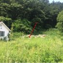 분당-306 이미지