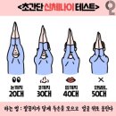 비트 16 가산점 이미지