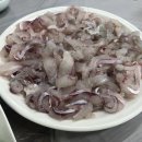 명동활어회센타