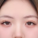 쏭눈썹