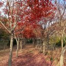 병인농장 이미지