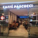 앨리스 in 제주비 이미지