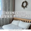 스테이 르브아 | [서귀포펜션] 제주동백수목원 근처 감성숙소 르브아스테이 추천