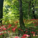 함양교통정류장 이미지