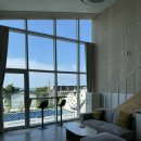 스테이숨 이미지