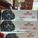 라이프독 용인점 강아지고양이 | 반려견 체중 조절을 위한 강아지 사료 추천, 로얄캐닌 무료 체험 신청 방법 및 급여 후기