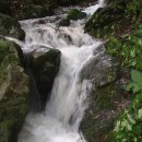 선희농장 이미지