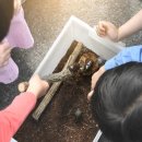 고성유치원 이미지