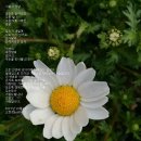 오현정