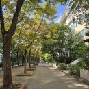 씨유목동11단지점 | 목동 학군지 아파트 비교 및 목동 단지 실거주 후기