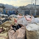 진영산업 | 김해 진영 골든루트로 공장 폐기물 처리 전문 | 산업폐기물 처리 현장 후기 대성산업