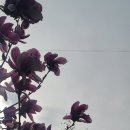 통영시청 제2청사 | 통영시청에서 블로그 배우기