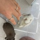 (주)아트.원 이미지