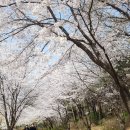 금낭화로26길 이미지