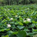 내아들농장 이미지