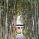 베스트프레즐&샐러드야 이미지