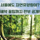 문의태양광복지회4호 | 서울에도 자연휴양림이? '수락 휴(休)' 예약부터 꿀팁까지 총정리