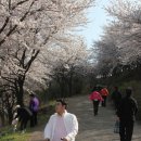 오랍드리 이미지