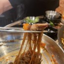 바로잘돼지