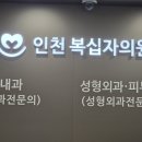 비타의원 | 인천 피로가 계속된다면? 비타민 D 주사 후기 인천 복십자의원