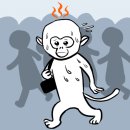 강남구 역삼동 참치 스토리 점심특선 연어 덮밥 후기.
